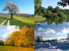 Four seasons.jpg