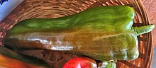 Green Big Bertha bell pepper.jpg