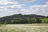 Blick von Ostnordosten zum Hummelsberg mit Ortschaft Hargarten