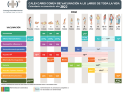 Calendario común de vacunación a lo largo de toda la vida. España 2020.png
