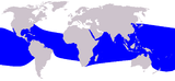 Aire de répartition du Dauphin à long bec