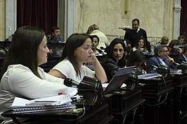 Debate de la ley de Emergencia Alimentaria en Diputados 07.jpg