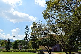 Escuela de Derecho y Ciencias Políticas UPB.JPG