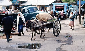 Semerkant'ta "Araba", 1964