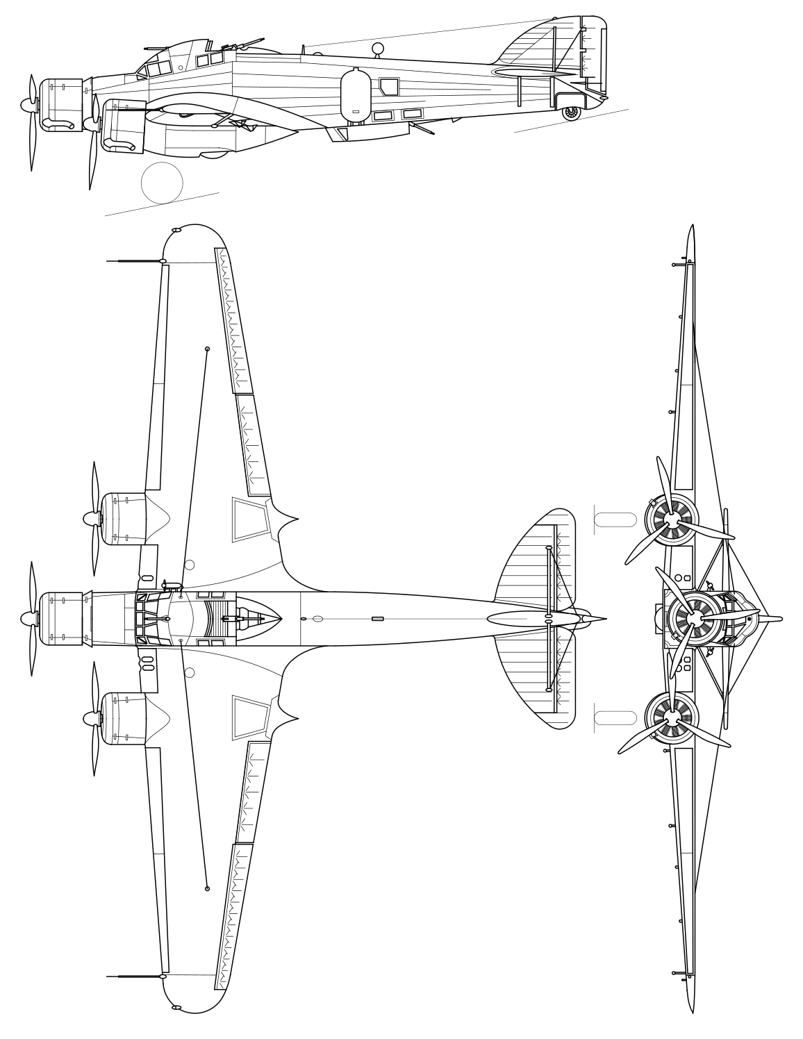 Vistes lateral, superior i frontal