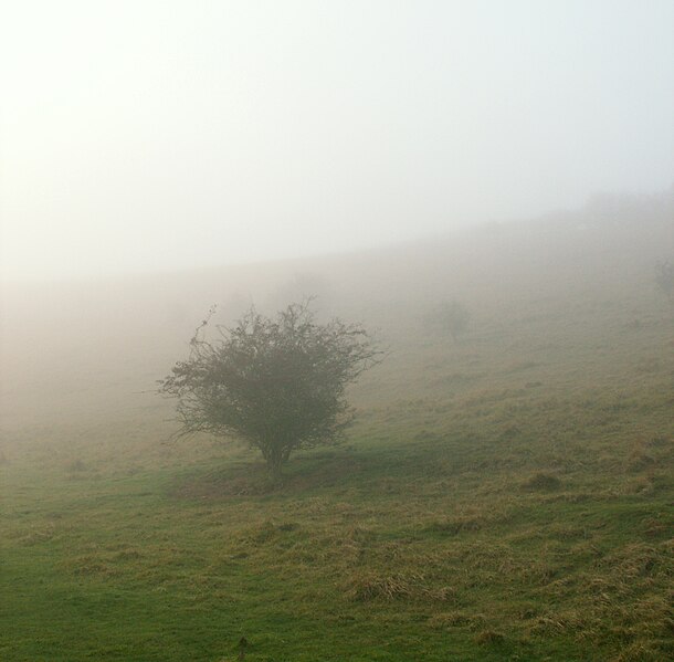 File:A December view of Woodnook Valley, Little Ponton, Lincolnshire, England 15.JPG