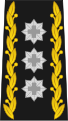 Korpskommandant / Commandant de corps / Comandante di corpo (Esercito svizzero)