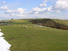 View of Walbury Hill from Combe Gibbet to the west