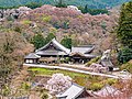 春の本坊全景