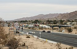 Central Joshua Tree in 2013