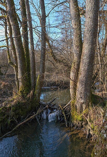 File:Landappbw 883119 1824 Teufenbach Niedereschach-Sinkingen.jpg