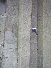 Escaladores en la torre