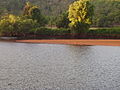 :Talawade River Part of Shivaganga River Near Tale Bazaar SH 116 Sindhudurg Maharashtra India