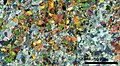 Thin section scan