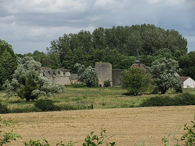 Les vestiges du château féodal.