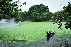 Raiganj wildlife sanctuary