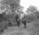 Poney Gayo monté par un homme Gayo à Aceh, en 1927.