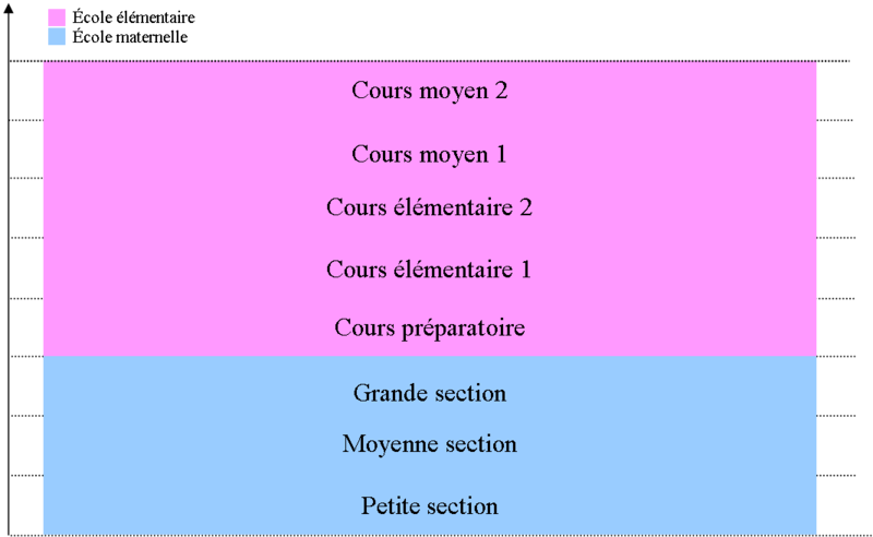 File:Enseignement primaire en France.png