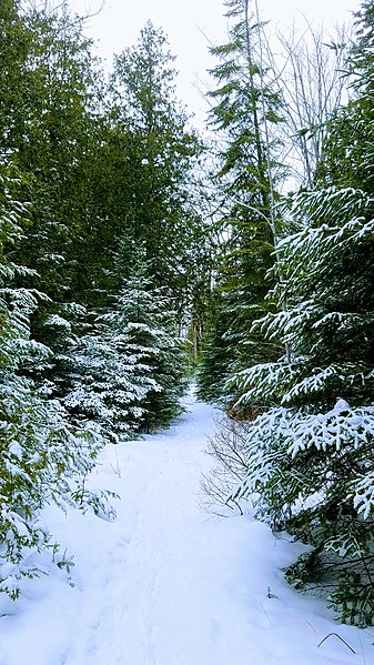 File:2018 Winter Hike.jpg