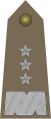 Generał broni (Wojska Lądowe (Polonia))