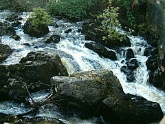 Cladich River at Cladich Steading - geograph.org.uk - 123205.jpg