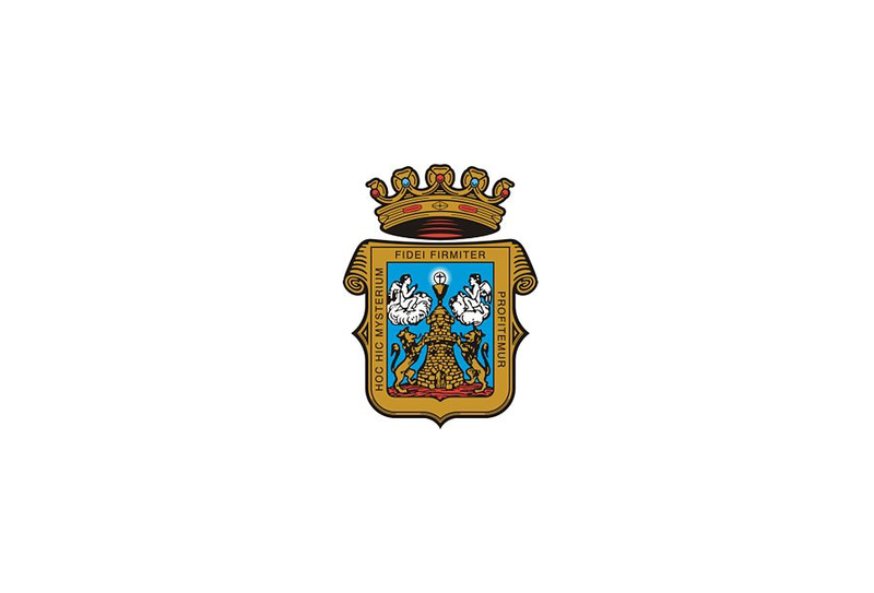 File:Flag of the City of Lugo, Spain (official).PNG