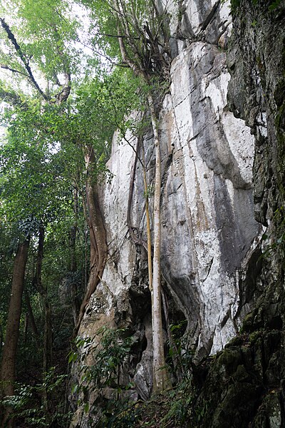 File:Jungle cliff (29015877861).jpg