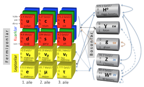 Standart Model parçacıkları ve etkileşimleri