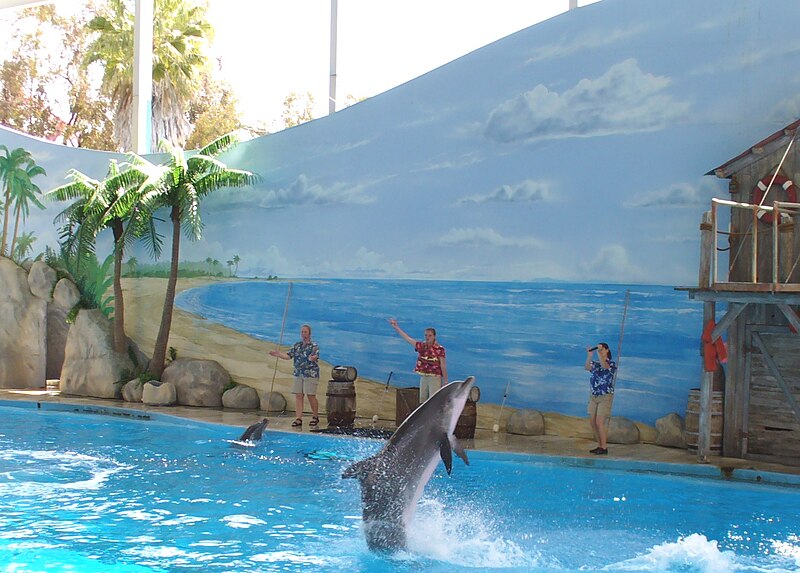 File:Six Flags Discovery Kingdom Dolphin Show.JPG