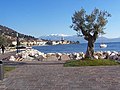 Panoràmica amb el Monte Baldo