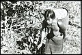 1962 picture of a carrying bast in Pleiku, Vietnam