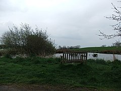 Pond near Ellingstring - geograph.org.uk - 3946687.jpg