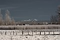 Blick zum Mont Blanc von Montagny-lès-Seurre aus