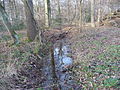 Naturschutzgebiet Herrentheyer Wald (Holzkamp)