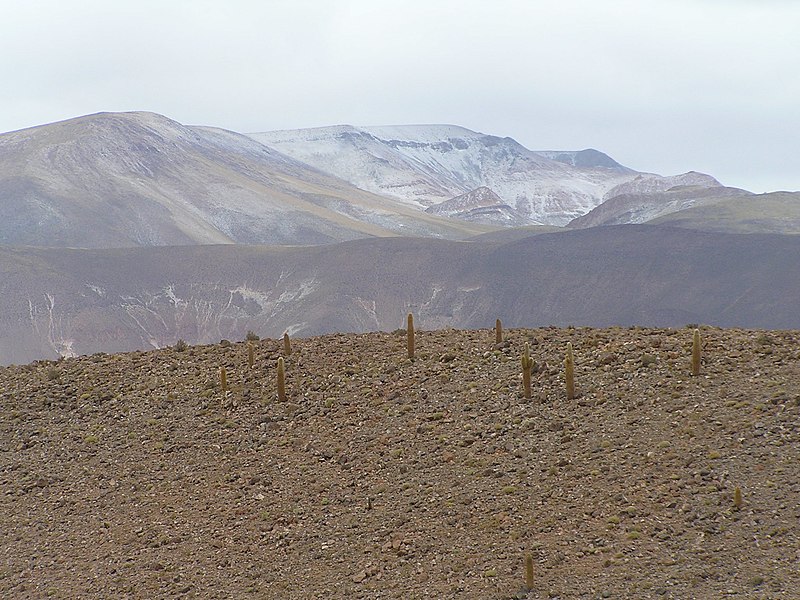 File:Atacama - panoramio.jpg