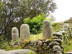 Ancient guardians of Corsica.jpg