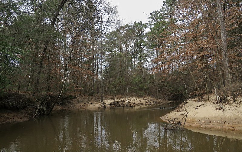 File:Big Sandy Creek, Polk Co, TX.jpg