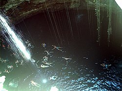 Cenote swimming.jpg