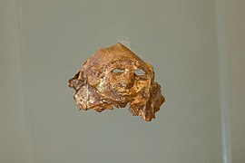 Máscara facial de oro del periodo micénico de Filakopí, Museo Arqueológico de Milos.