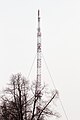 Neuer Mast im März 2012