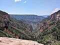 * Nomination: Grand Canyon, from just below the North Rim on the en:North Kaibab Trail --Buidhe 21:13, 1 November 2024 (UTC) * Review  Comment Looks really cool, but can you please formulate an image description that is a little more meaningful --Mosbatho 00:08, 2 November 2024 (UTC) Mosbatho Done Buidhe 05:35, 3 November 2024 (UTC)