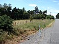 Pigeon Bush railway station 03.JPG