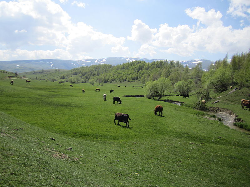 File:Pllaja e Shishtavecit.jpg