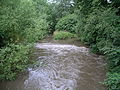 View upstream from the Baginton bridge showing the small weir and the union of the main river with a small diverted waterway from the Mill.