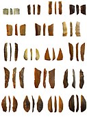 Microlith tools from Ein Qashish South, Jezreel Valley, Israel, Kebaran and Geometric Kebaran deposits (ca. 23ka and ca. 16.5ka BP)