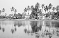 Lake in rajbari compound (1967)