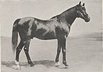 Photographie en noir et blanc d'O'Bajan à l'âge de 21 ans.