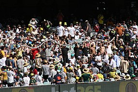 Beer cup snake at the MCG