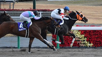 2014年冠軍「北港火山」