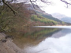 Loch Eck, Benmore-Glenbranter Forestry Road